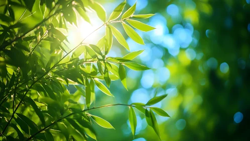 Sunlit Green Leaves in Nature with Soft Bokeh Background.