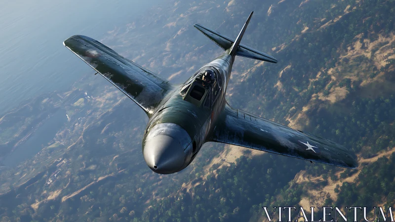 WWII fighter aircraft rendered in high-detail aerial perspective
