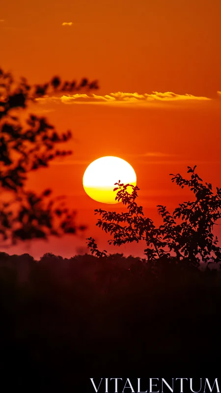 Golden sun drifts low in a fiery sky above quiet treetops
