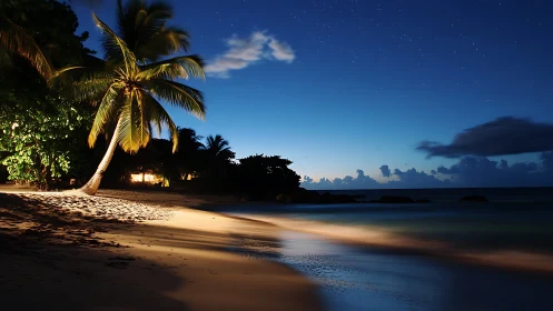 Tropical Night Whispers Where Palm Meets Moonlit Shore
