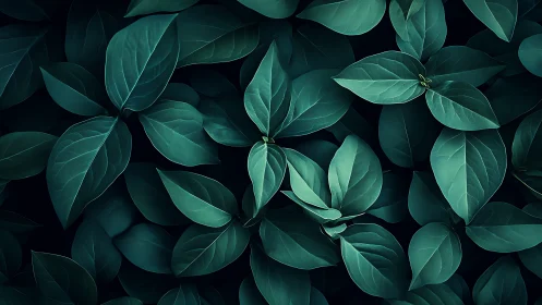 Dense teal foliage array under low-key directional lighting.