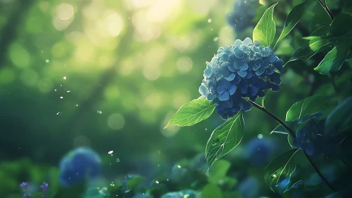 Blue hydrangea cluster sits in soft green forest light