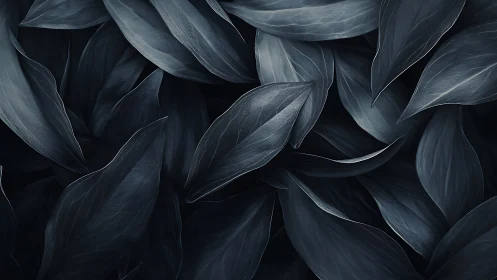 Moody midnight leaves layered in gentle flowing curves.