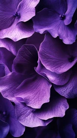 Layered Purple Petals with Luminous Veining