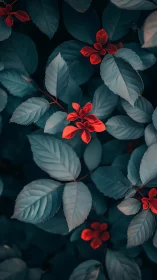 Crimson Petals Dance Through Teal Foliage Symphony.