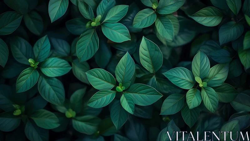 Top-down photorealistic foliage array with radial leaf symmetry.