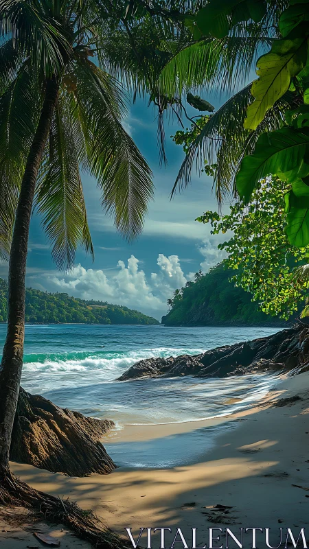 Tropical Beach Cove Beneath Palm Fronds.