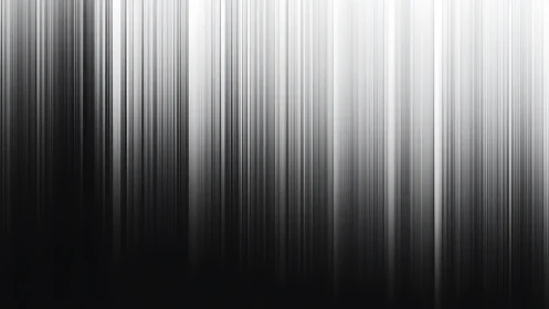 Gentle grayscale lightfall drifting through quiet shadows.