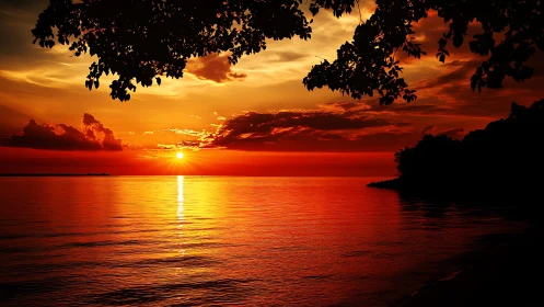 Radiometrically rich coastal sunset with silhouetted foliage.