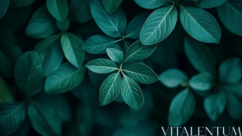 Quiet forest leaves in soothing deep teal light.