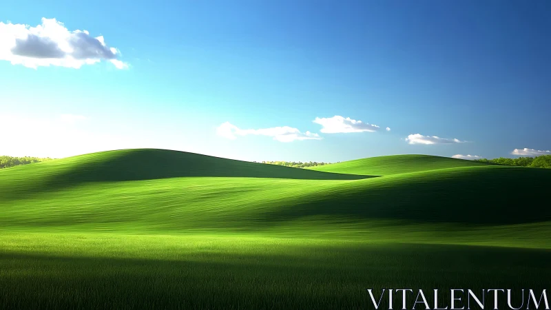 Rolling green hills under clear blue sky in strong daylight