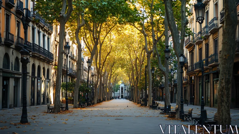 Tree-lined European boulevard with historic urban buildings.