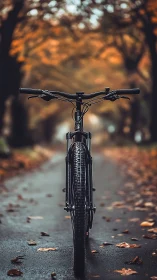 Mountain Bike on Autumn Trail at Dusk