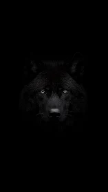 Black wolf portrait emerges from deep black background