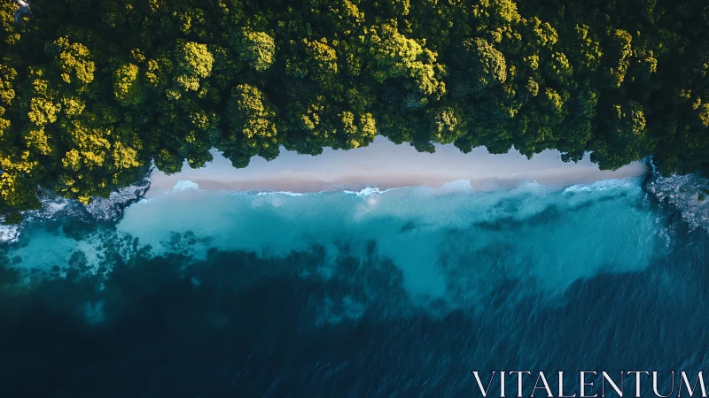 Aerial view of forested coastline meeting turquoise ocean waters