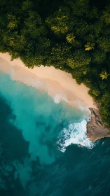 Tropical Paradise: Aerial Perspective of Untouched Coastline.