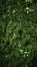 High-contrast macro study of dense grass canopy textures.