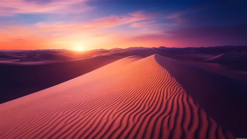 Sunrise light sculpts rippled dune ridge across silent desert