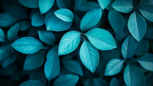 Close-up of teal leaves in soft natural light.