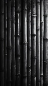 Vertical bamboo stalks in monochrome close-up arrangement.