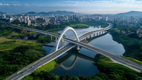 Modern arch bridge spanning river with dense urban skyline.