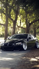 Stanced black BMW coupe glides under dappled forest light.