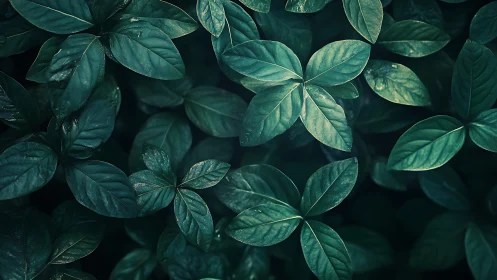 Moody emerald foliage under soft directional light