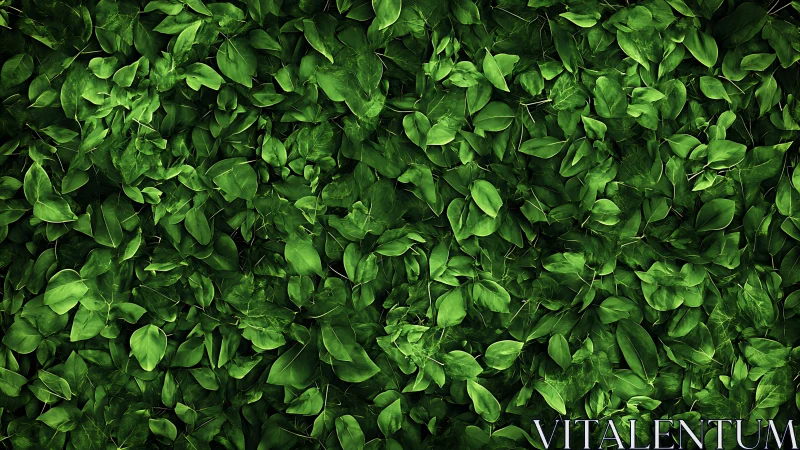 Emerald leaf tapestry weaving a lush living forest wall.