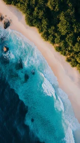 Aerial Coastal Convergence: Turquoise Waters Meet Pristine Shoreline.
