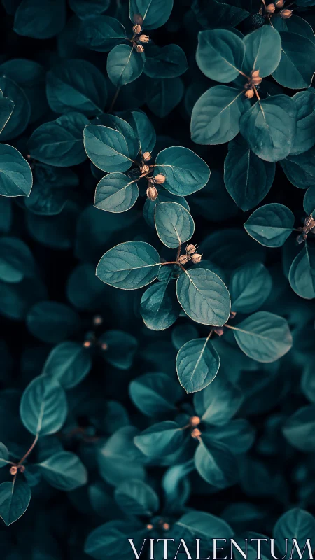 Gentle teal leaves glow softly against a calm dark garden