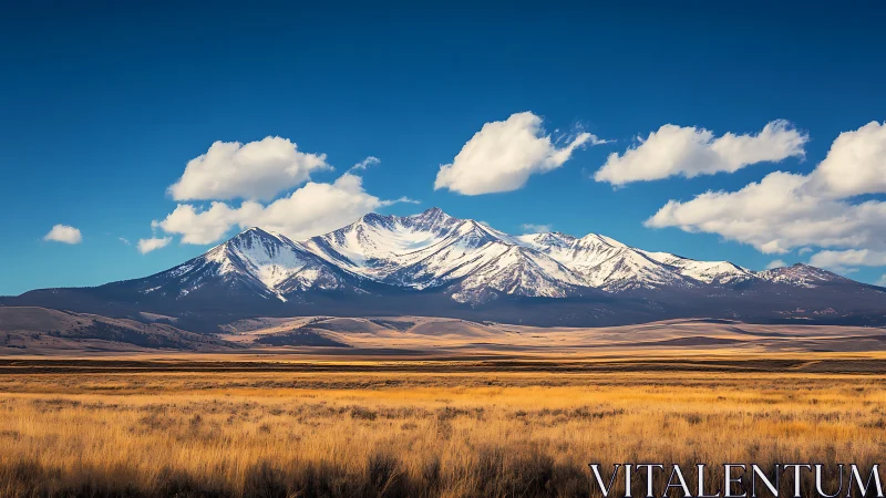Snowcapped mountain range over golden prairie under cobalt sky.