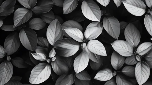 Monochrome foliage pattern with overlapping leaves.