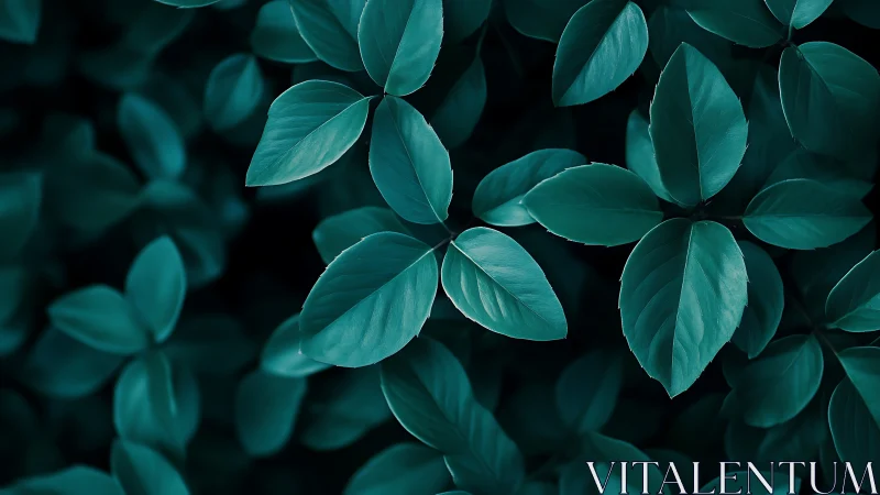 Photorealistic teal foliage study with rhythmic leaf repetition.
