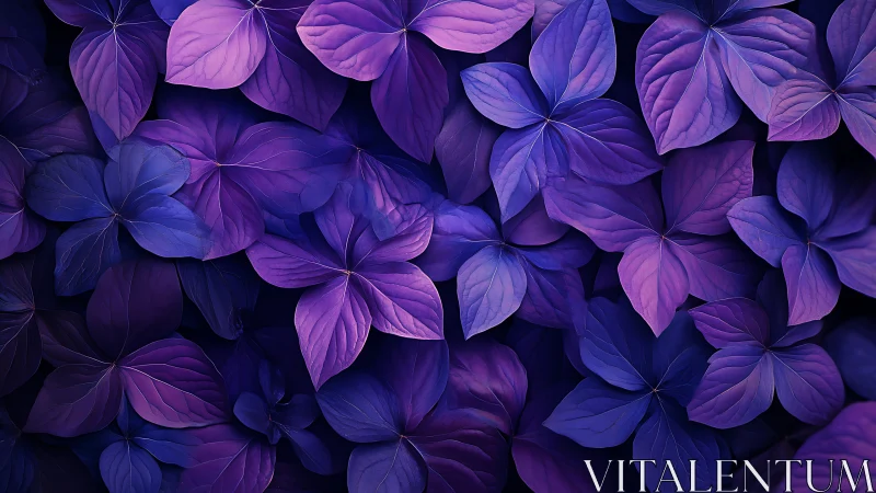 Purple and blue leaves create dense overlapping foliage