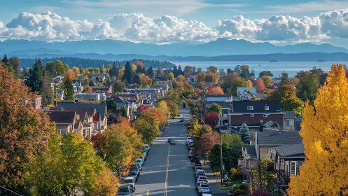 Linear perspective streetscape reveals coastal suburb in peak autumn color