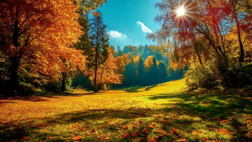 Autumn Valley Landscape with Golden Foliage and Sunburst.