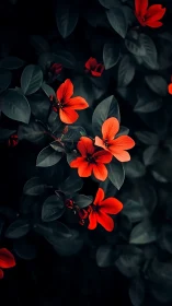 Vibrant Red Flowers Glow Against Dark Moody Foliage