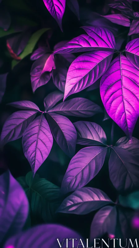 Neon violet foliage glows against deep emerald shadows