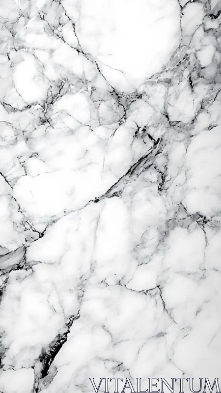 High-key white marble surface with fine grey veining pattern.