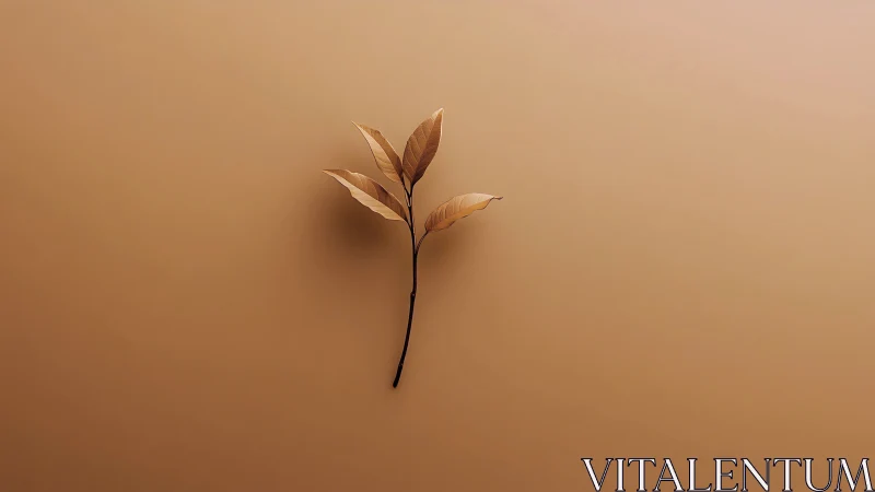 Minimalist brown branch with leaves on beige background, soft lighting.