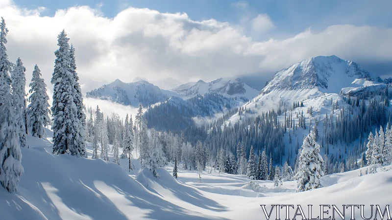 Snow‑laden conifer forest spans undulating slopes under alpine light