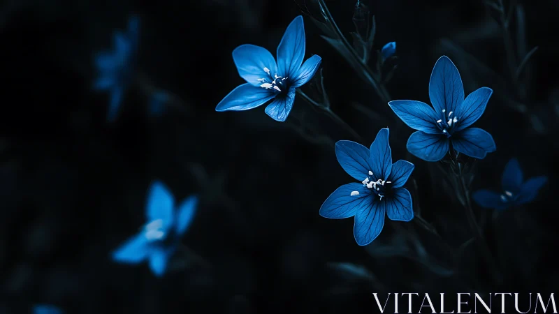 Luminous Blue Flowers Against Dark Foliage. Nocturnal Garden Study.