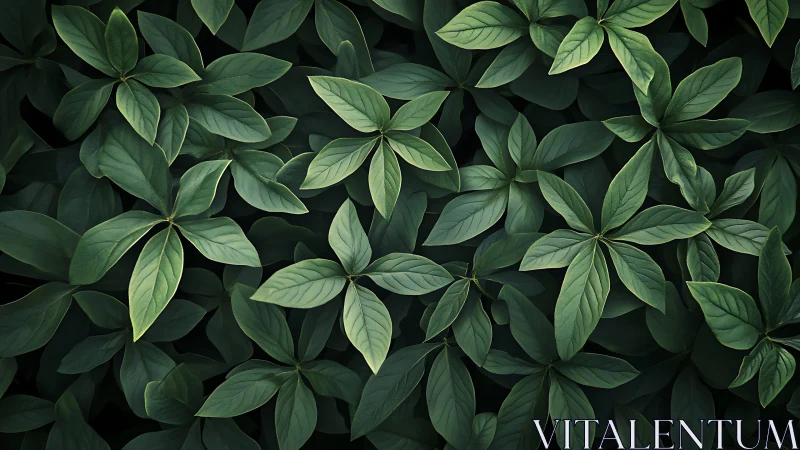 Lush green foliage forms a soothing natural leaf pattern