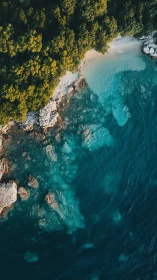 Hidden cove of turquoise waters and sunlit forest edge.