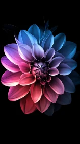 Luminous Gradient Flower Blooms with Radiant Color