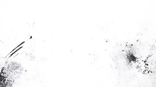 Sparse black ink textures on stark minimalist white field.