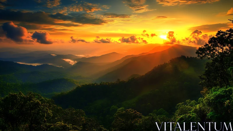 Layered forested mountains under intense sunset light.