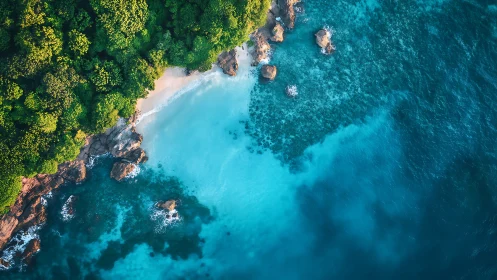 Emerald Shores Meet Turquoise Dreams.