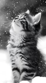 Fluffy Cat Gazing Upward in Luminous Snowfall Scene