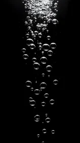 Vertical column of rising liquid bubbles on black background